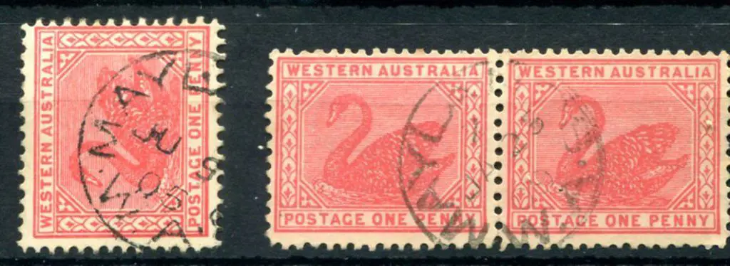Maylands 3b indices nil & 2 on 1d red swans. Nil ... Image 1++