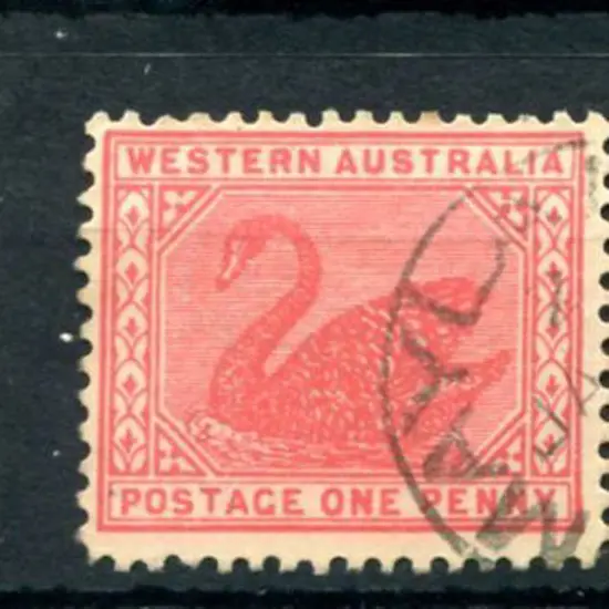 Maylands 3b indices nil & 2 on 1d red swans. Nil ...