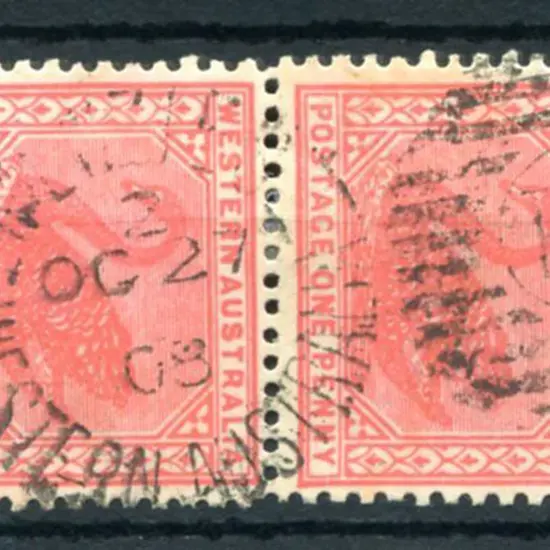 Menzies DxPO-c duplex index 2 on 1d red swans pair ...