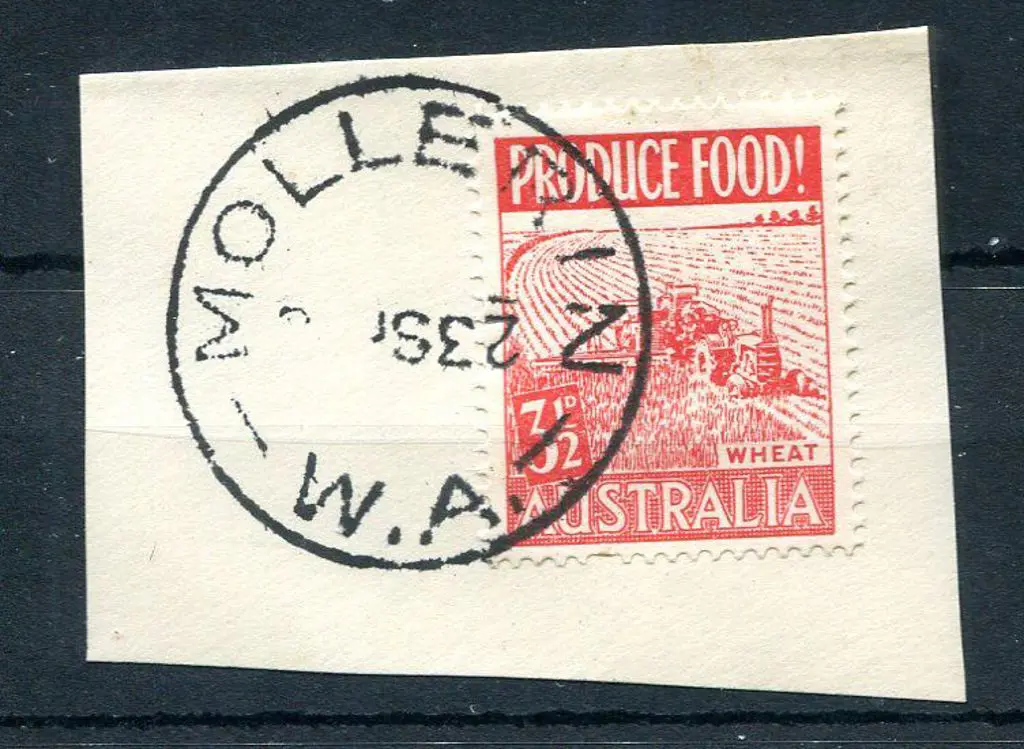 Mollerin C30 Bold complete tying 3½d Produce to ... Image 1++