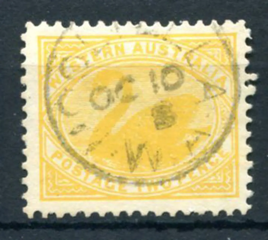Moolyella 3b on 2d yellow swan for OC 10 8. PMI ... Image 1++