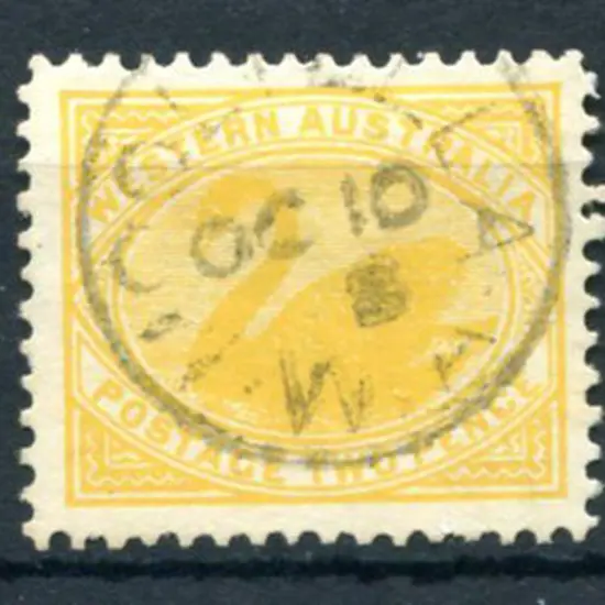 Moolyella 3b on 2d yellow swan for OC 10 8. PMI ...