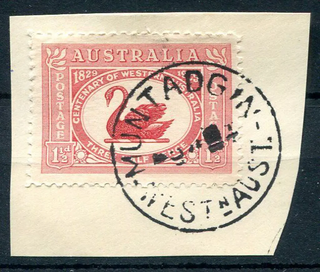 Muntadgin B28 Complete bold strike on 1½d WA Cent ... Image 1++