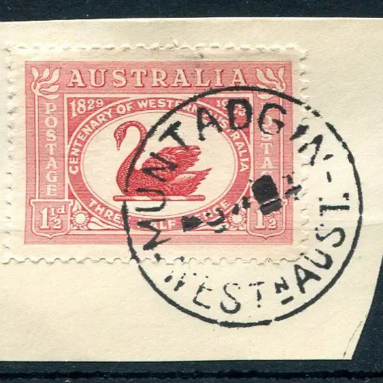 Muntadgin B28 Complete bold strike on 1½d WA Cent ...