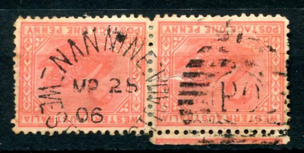 Nannine DxPO duplex on 1d red swans pair for MR 25 ... Image 1++