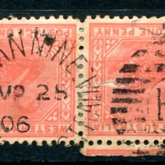 Nannine DxPO duplex on 1d red swans pair for MR 25 ...