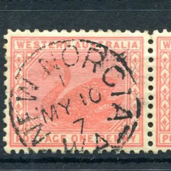 New Norcia 3b Index nil on 2d yellow swan for 29 ...