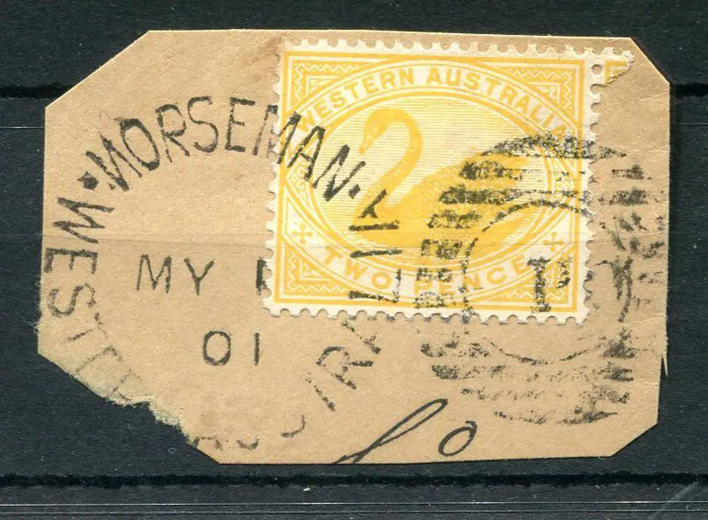 Norseman DxPO duplex on 2d yellow swan on piece ... Image 1++