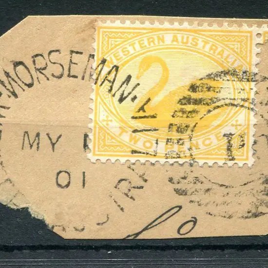 Norseman DxPO duplex on 2d yellow swan on piece ...