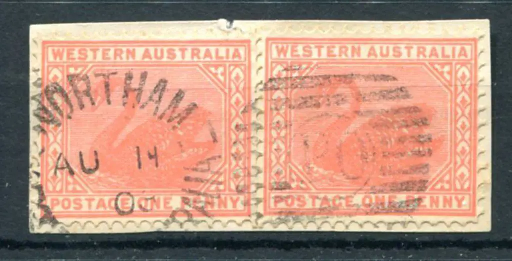 Northam Duplex DXPO index nil on 1d red swans pair ... Image 1++