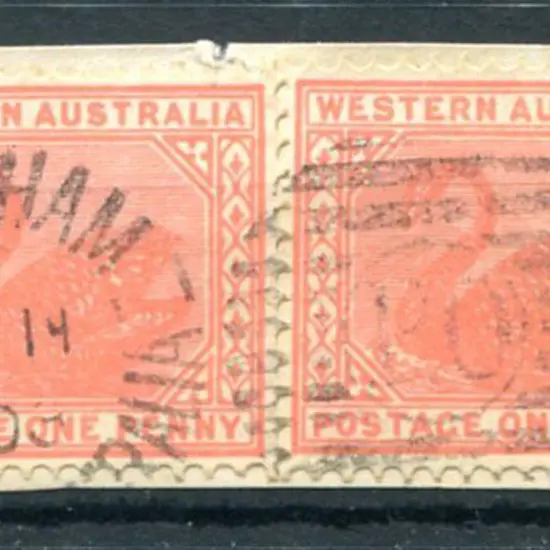 Northam Duplex DXPO index nil on 1d red swans pair ...