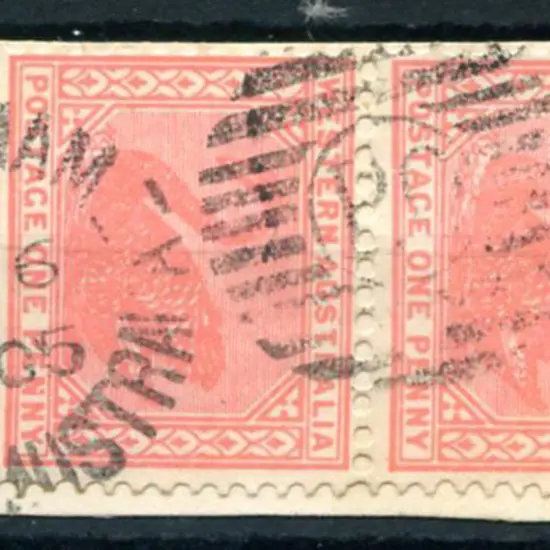 Northam DxPO duplex index "C" on 1d red swans pair ...