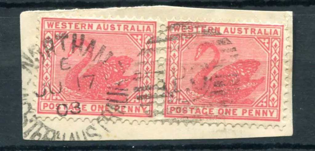 Northam DxPO duplex index 6 on 1d red swans pair ... Image 1++