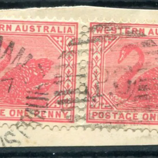 Northam DxPO duplex index 6 on 1d red swans pair ...