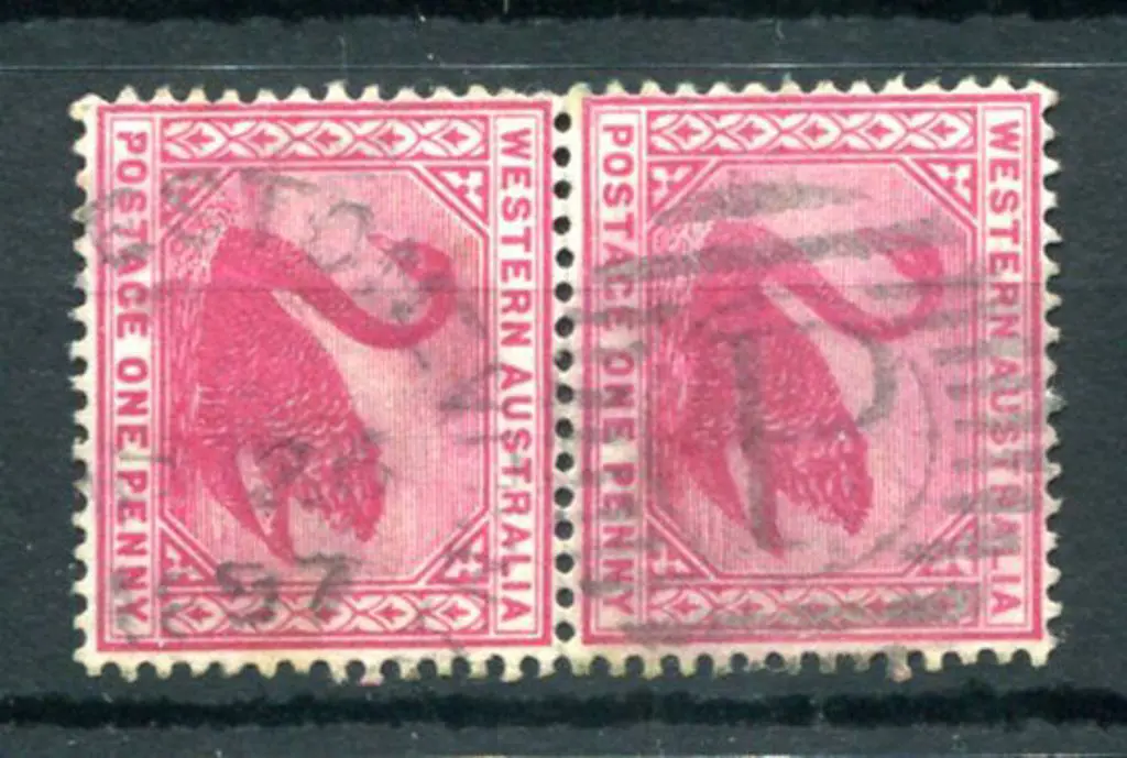 Preston DxL-2 Duplex on 1d red swans pair for AP ... Image 1++