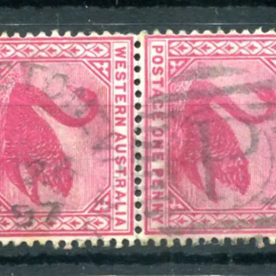 Preston DxL-2 Duplex on 1d red swans pair for AP ...