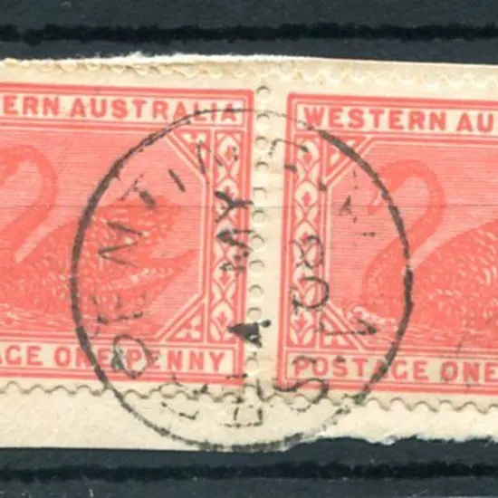 Serpentine 3b on 1d red swans pair on piece for 4 ...