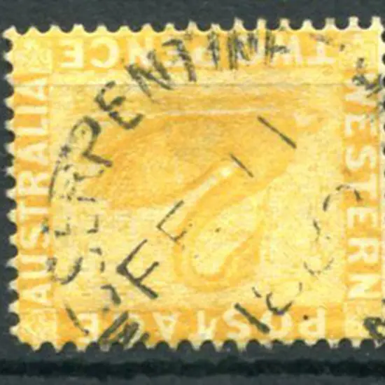 Serpentine CDS1 on 2d yellow swan for FE 11 1882. ...