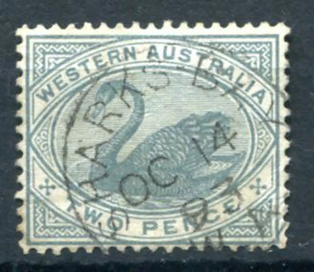 Sharks Bay 3b on 2d grey swan for OC 14 93 ERD ... Image 1++