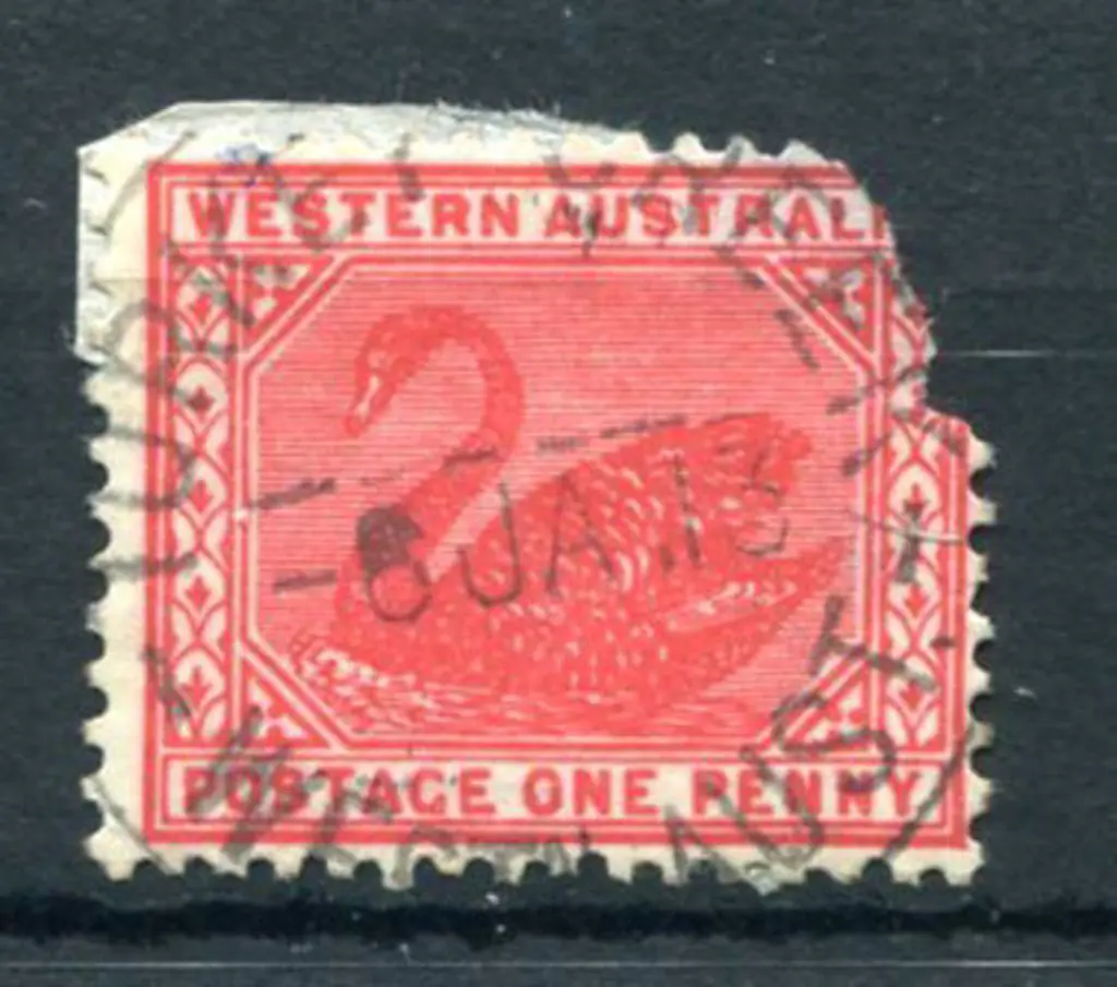 Turkey Creek B29 on 1d red swan for 5 JA 13 (stamp ... Image 1++