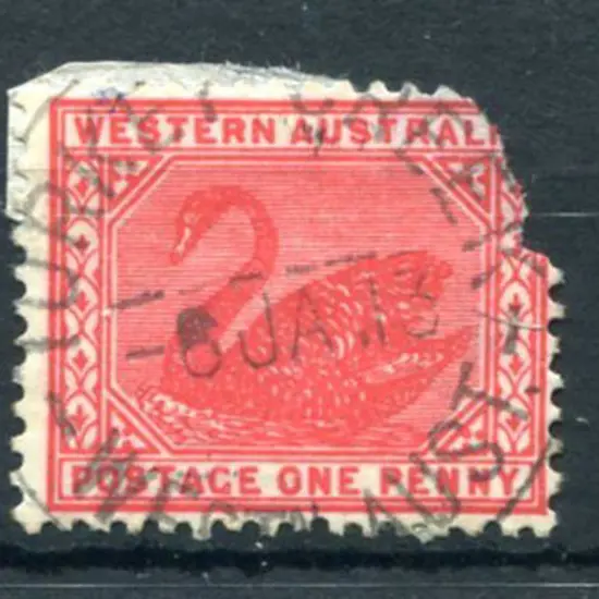 Turkey Creek B29 on 1d red swan for 5 JA 13 (stamp ...
