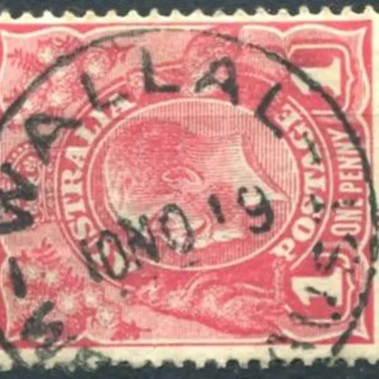 Wallal B27 Superb strike on 1d red KGV for 10 NO ...