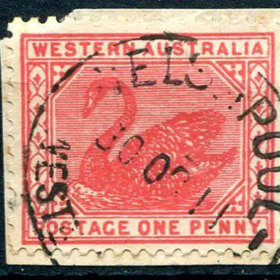 Welshpool D26-a 80% strike on 1d red swan dated 30 ...
