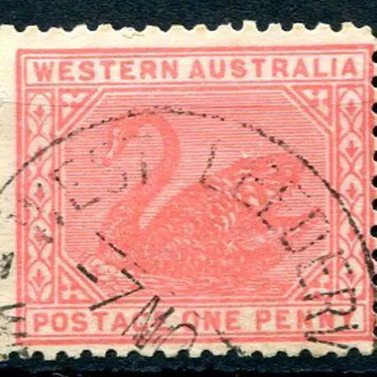 West Leederville B 28 60% strike on 1d red swan ...