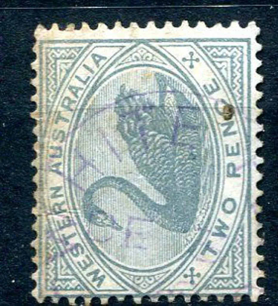 White Flag 3b in violet on 2d grey swan, CR/CA ... Image 1++
