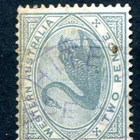 White Flag 3b in violet on 2d grey swan, CR/CA ...