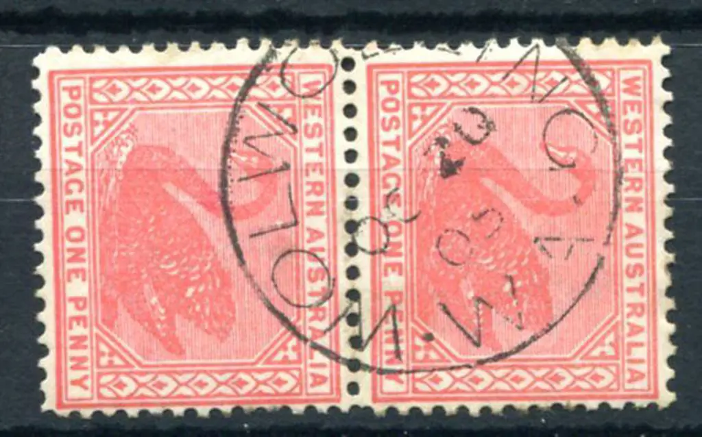 Wolwolling 3b 90% strike on 1d red swans vertical ... Image 1++