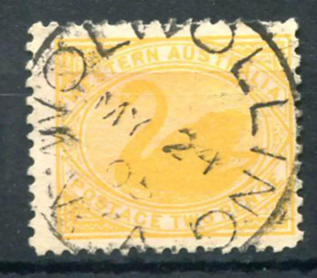Wolwolling 3b on 2d yellow swan for MY 24 05. PMI ... Image 1++