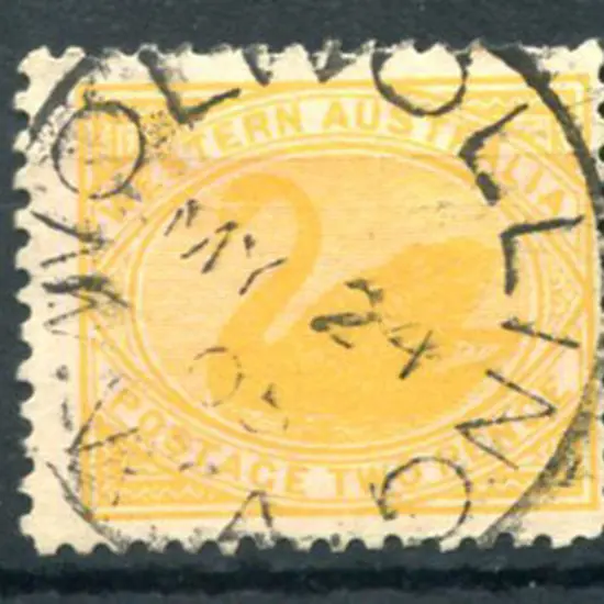 Wolwolling 3b on 2d yellow swan for MY 24 05. PMI ...