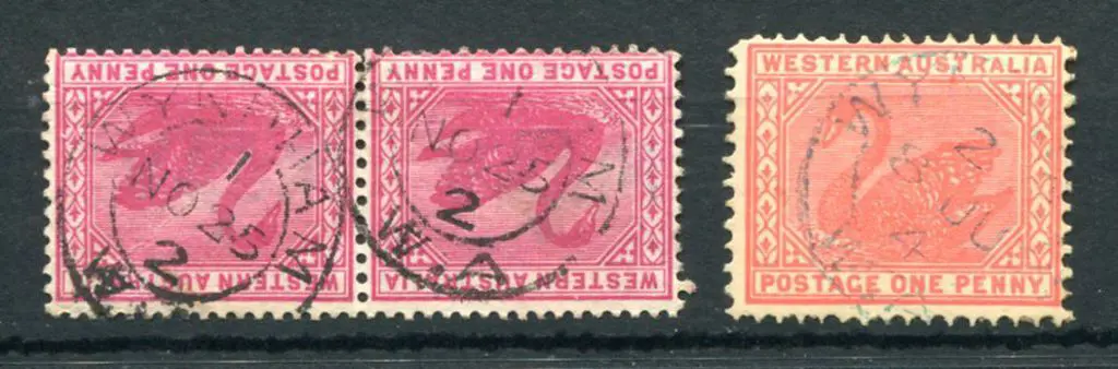 Wyndham 3b with index 1 in black on 1d red swans ... Image 1++