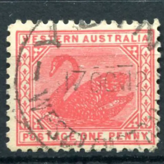 Yuin D30 on 1d red swan for 17 OCT 12, the ...
