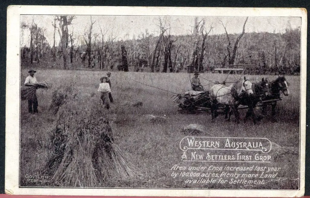 "A New Settlers First Crop Western Australia" Govt ... Image 1++