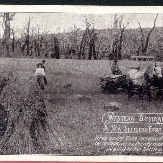 "A New Settlers First Crop Western Australia" Govt ...