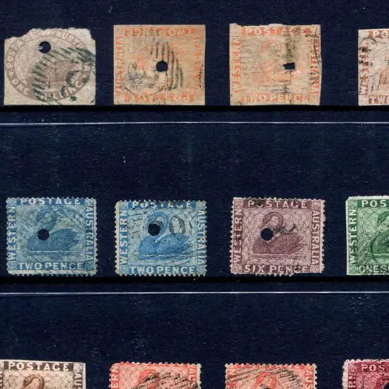 "Part Panorama of Fremantle No. 5" Robinsons' Ltd, ...