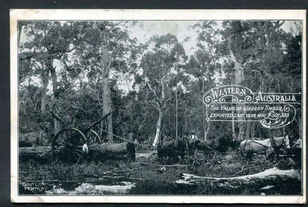 "The Value of Jarrah Timber Western Australia" ... Image 1++