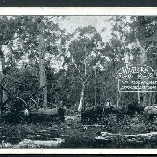 "The Value of Jarrah Timber Western Australia" ...