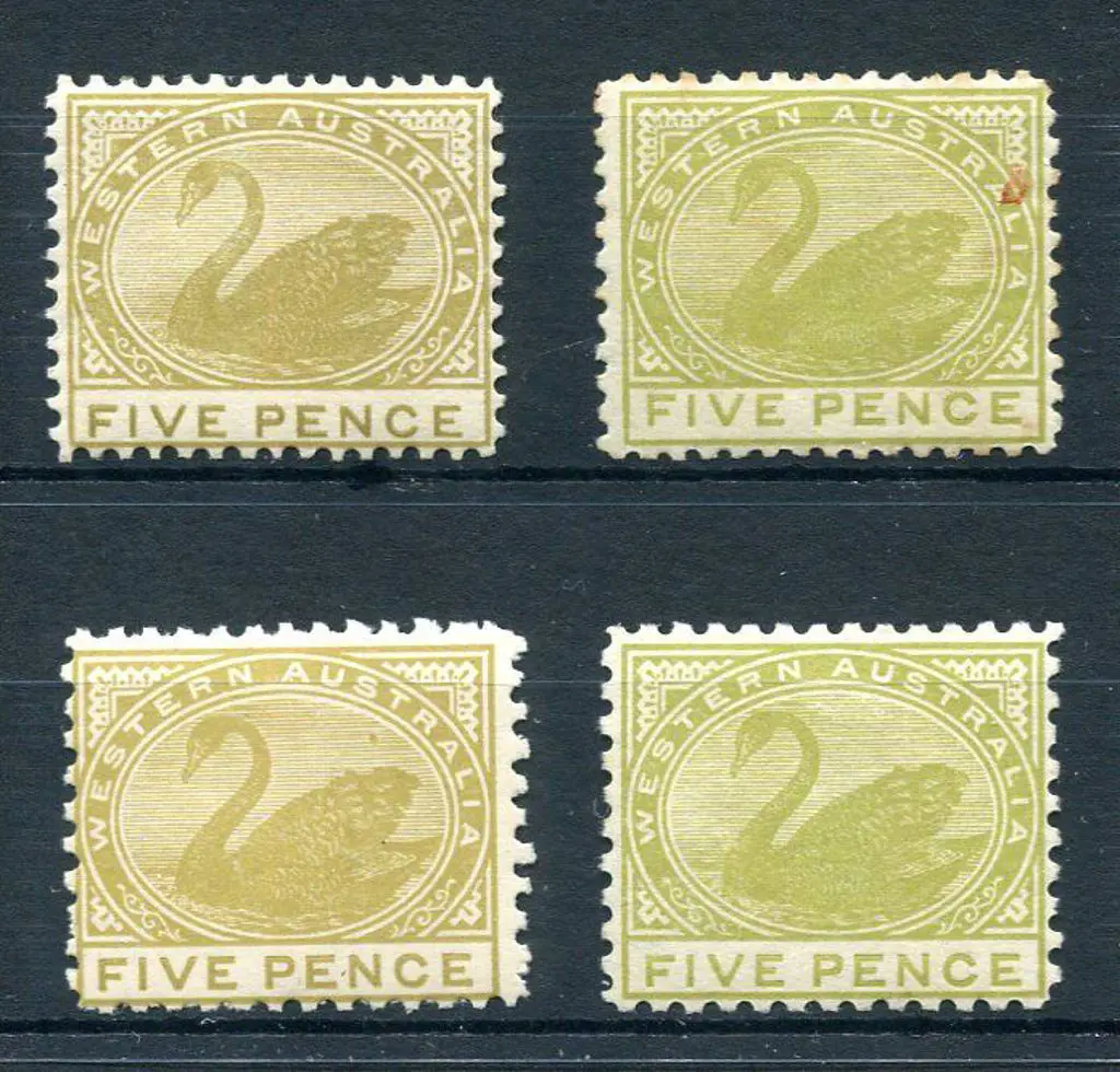 1905 5d pale olive-bistre, perf 12½, MLH (SG 143, ... Image 1++
