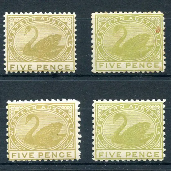 1905 5d pale olive-bistre, perf 12½, MLH (SG 143, ...