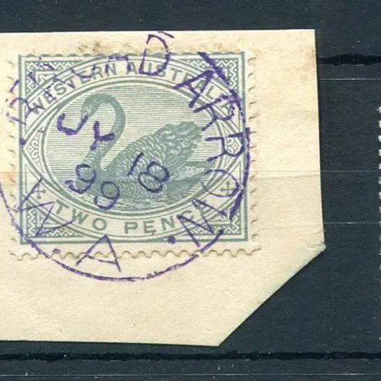 Broad Arrow 3b-a on 2d grey swan on piece for JY ...