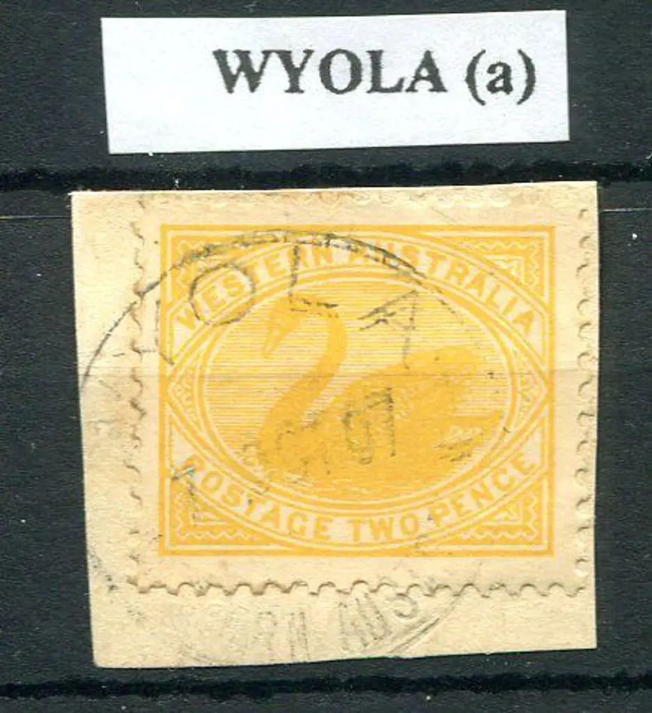 Wyola Light crisp strike on 2d yellow swan piece ... Image 1++
