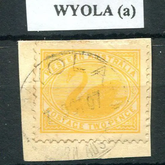 Wyola Light crisp strike on 2d yellow swan piece ...