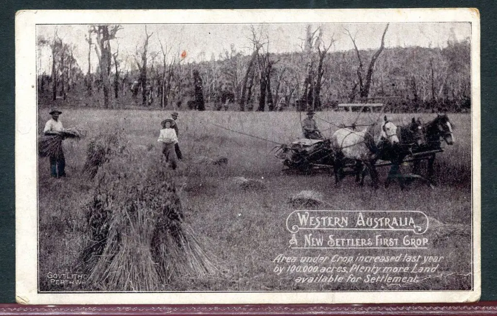 "A New Settlers First Crop Western Australia" Govt ... Image 1++
