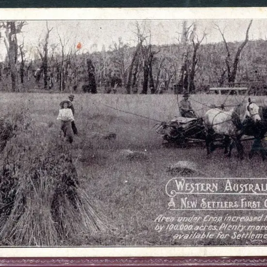 "A New Settlers First Crop Western Australia" Govt ...