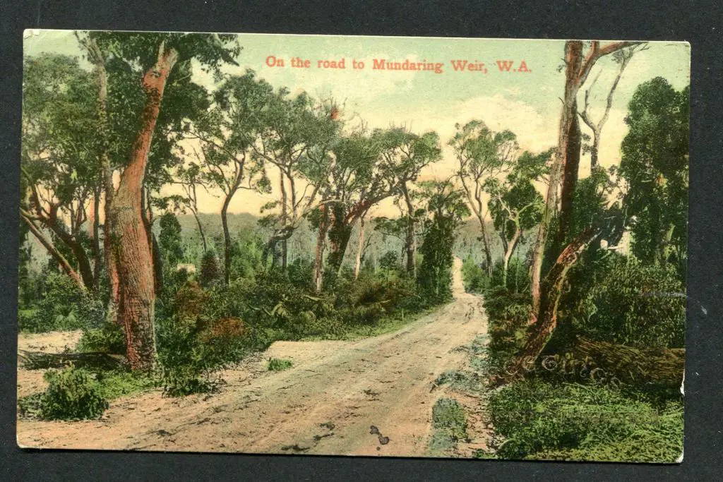 "On the road to Mundaring Weir, W.A. Greetings ... Image 1++