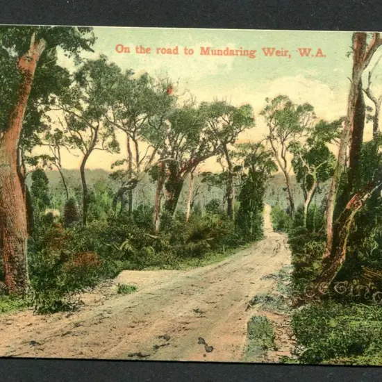 "On the road to Mundaring Weir, W.A. Greetings ...