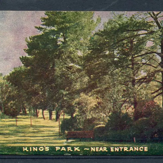 "King's Park - Near Entrance" coloured card ...